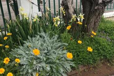 פנסיון Colesview Guest House