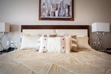 Hotel Wyndham Torreon