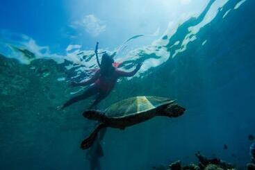 Hotel Old Town Inn Maldives