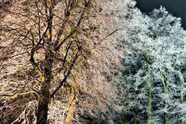 膳宿费 Brungers Landhaus