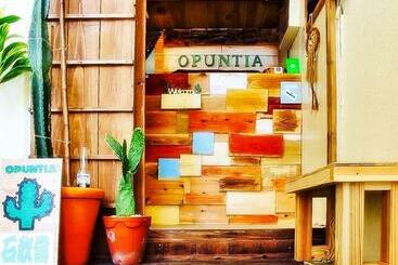 膳宿费 全室個室のゲストハウス オプンティア Guesthouse Opuntia