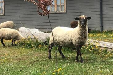 هتل Parque La Pajarera