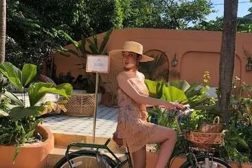 تختخواب و صبحانه The Mansion Hoi An By Minova