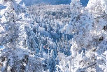 Microtel Inn & Suites By Wyndham Mont Tremblant