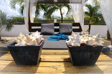 هاستل Hakuna Matata Bonaire Beach & Diving