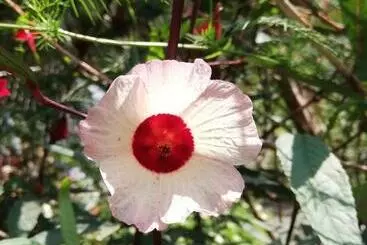 Majatalo Karandi Hostel