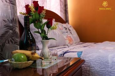 펜션 Hostal Spring Ii