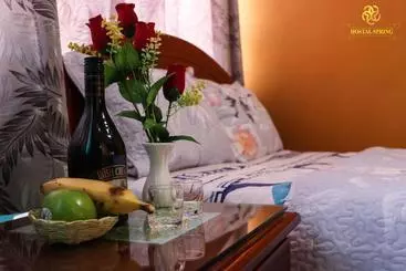 ペンション Hostal Spring Ii