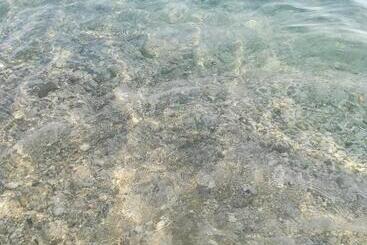 Pensiune Eduard Lagji Apartament