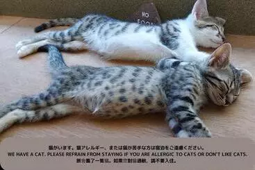 Majatalo Iruka Hostel