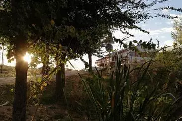 Pension Hostal Miguel Hernandez