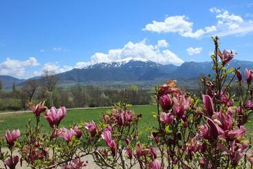 Hotell Mas Ravetllat