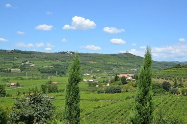 膳宿费 Corte Tamellini