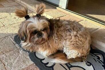 בית מלון כפרי Coroncina