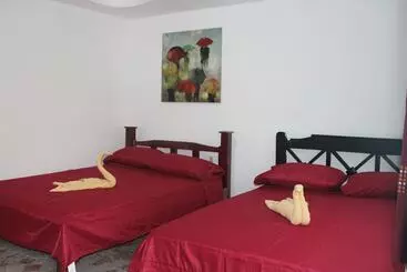 ペンション Tortuguero Hostel & Backpackers