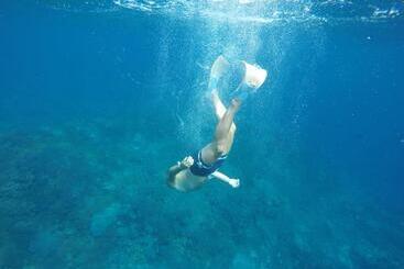 Pensió Gedong Nusa Huts