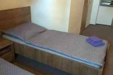 Pensione Restaurace Alvi