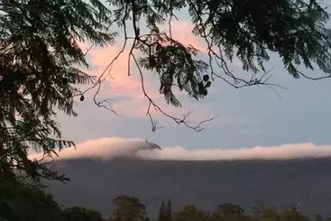 ペンション Cuckoos Nest Guest House