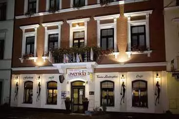 Hotel Avenida Park