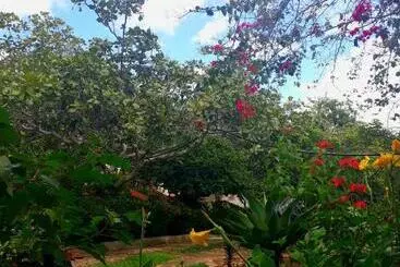 Pensione Pousada Café Do Brejo