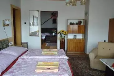 Pension Dana