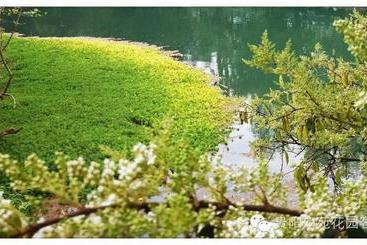 ペンション Dream Garden Inn