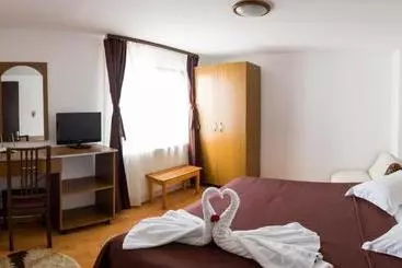 Pension Vila Alma Azuga