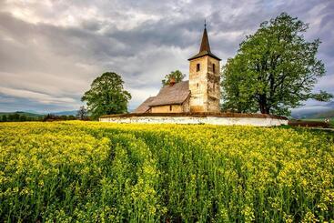 膳宿费 Vila Fenix B&b