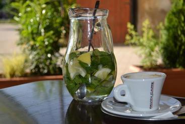 펜션 Ferdinand Penzion