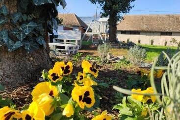 Ludo Apartman Hotel & Spa