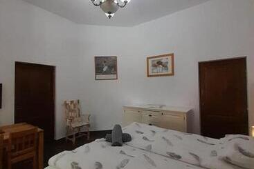 Pannonia Rooms And Apartments