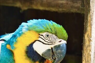 Отель Reserva Natural Tierra Adentro