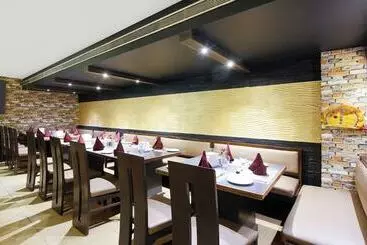 Hotel Treebo Punjabi Nature Residency, Near Faridabad Railway Station