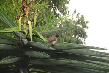 مسافرخانه Filon D'or Guesthouse And Campsite