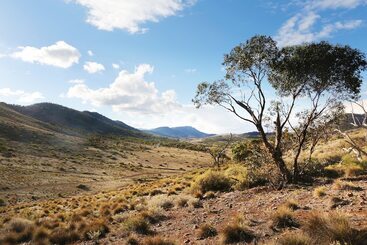 Hostel Pichi Richi Park