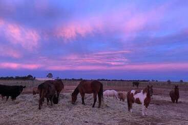 פונדק Tarnasey Farm
