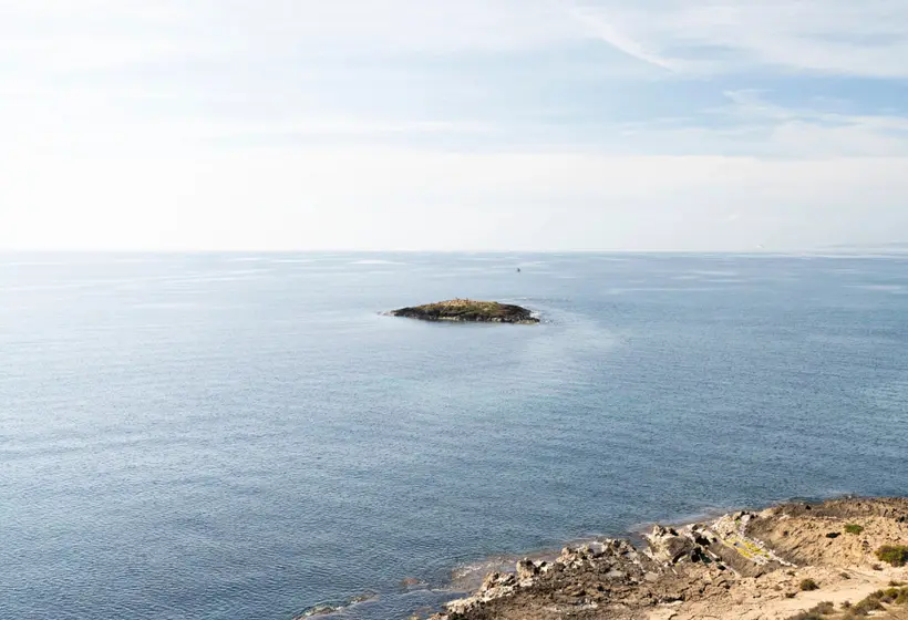 Aluasoul Palma Hotel Adults Only