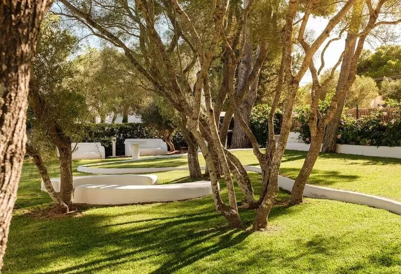 Отель Cala Dor  Adults Only