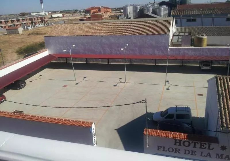 ホテル Flor De La Mancha