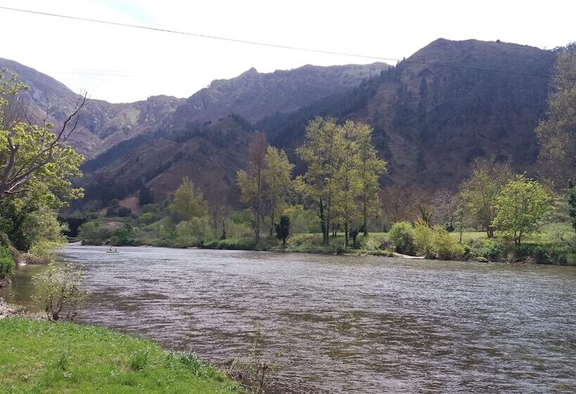 فندق Pension Monteverde