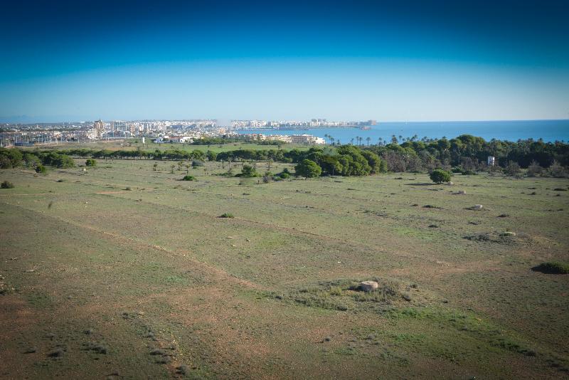 בית מלון כפרי Torrejoven