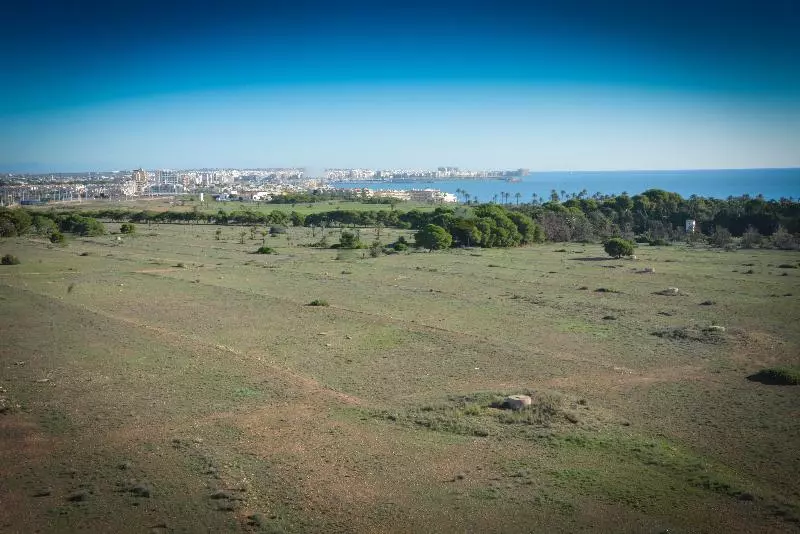 Отель Torrejoven