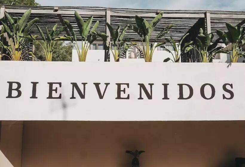 Barefoot Hotel Mallorca