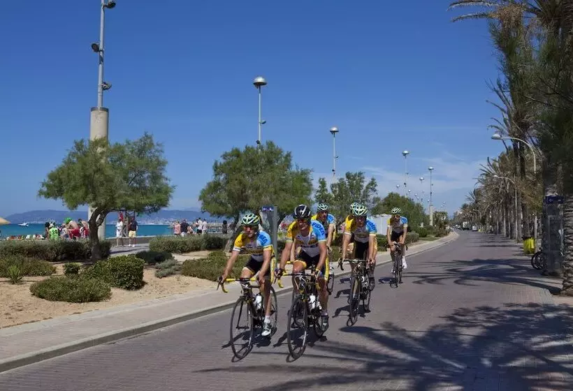 בית מלון כפרי Foners