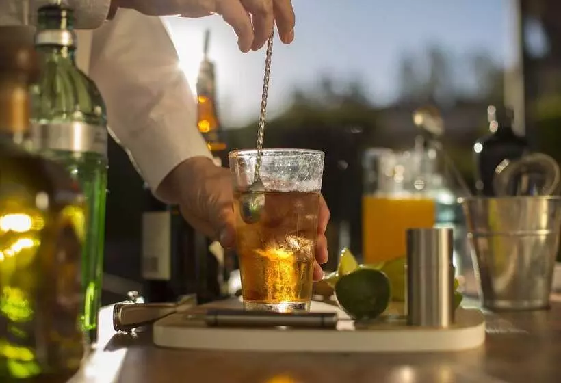 Las Gaviotas Suites Hotel & Spa