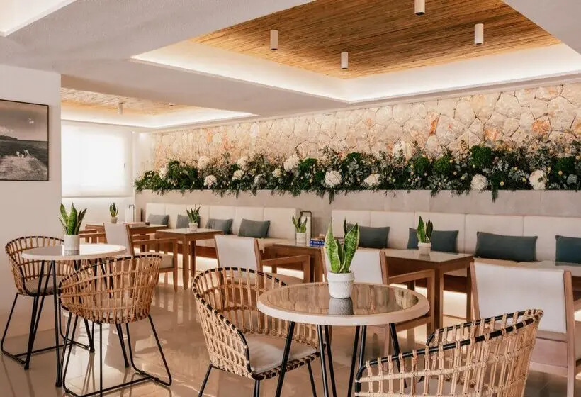 Hotelli Mim Mallorca Member Of Melia Collection