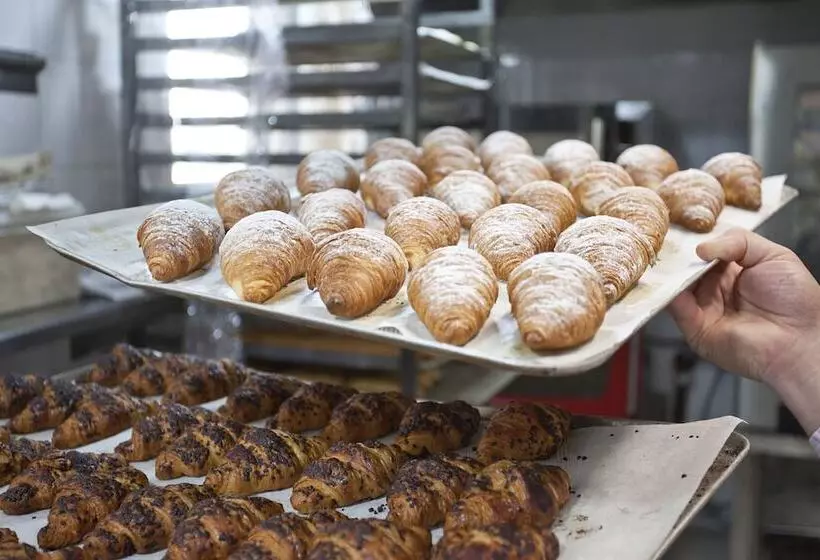 ホテル Mim Mallorca & Spa  Adults Only