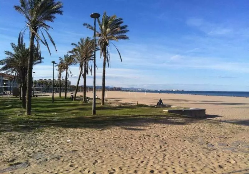 فندق Turia Valencia