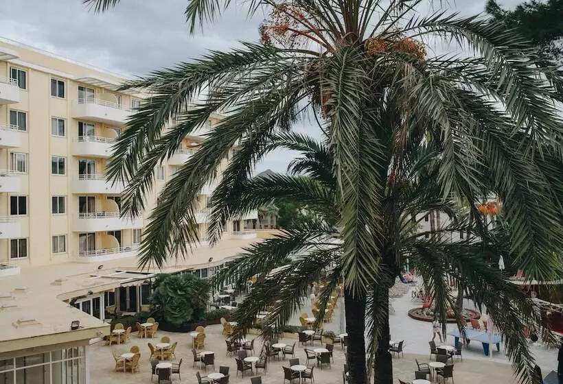 Ivory Playa Sports & Spa