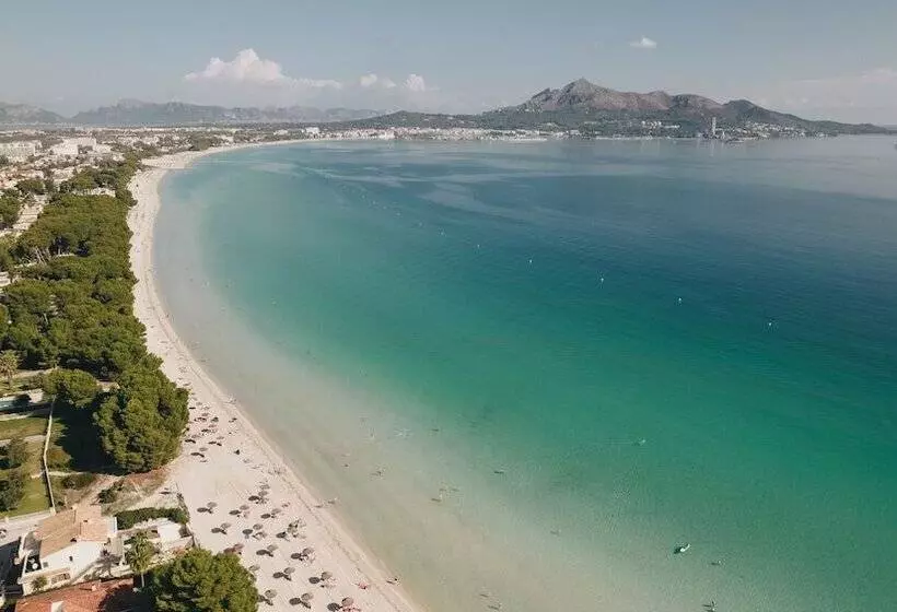 Ivory Playa Sports & Spa